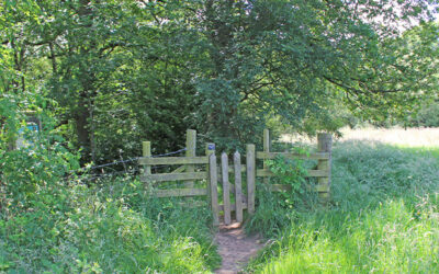 5: Whaley Bridge to Taxal