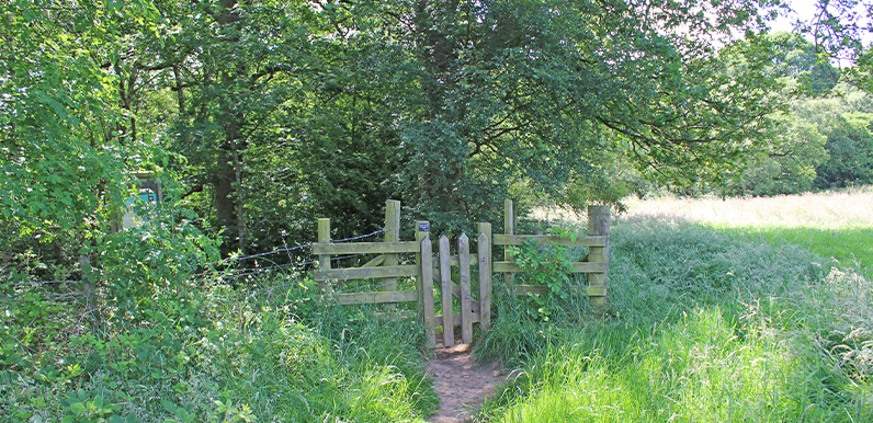 5: Whaley Bridge to Taxal