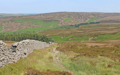 15. Errwood > Goytsclough