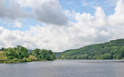 16. Fernilee Woodland Walk