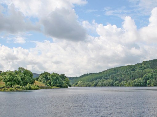 16. Fernilee Woodland Walk