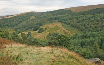 17. Foxlow Edge > St. Joseph’s Shrine