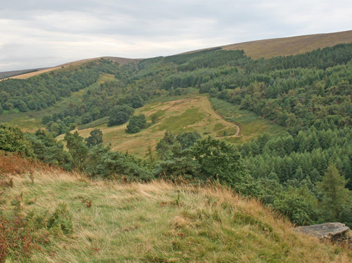 17. Foxlow Edge > St. Joseph’s Shrine
