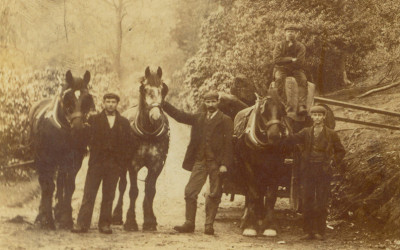 Estate workers