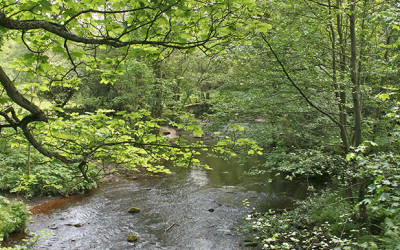 Fishing the Goyt at Taxal