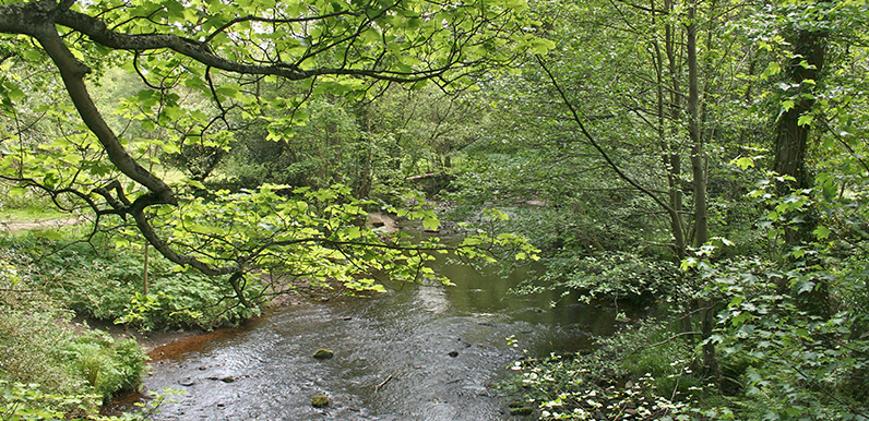 Fishing the Goyt at Taxal