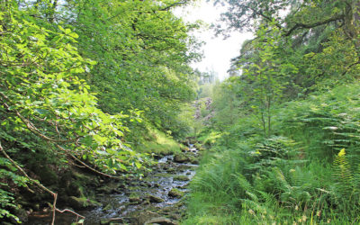 1. Riverside Walk