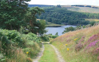10. Old Goyt’s Lane