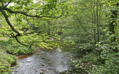 6. Taxal Edge