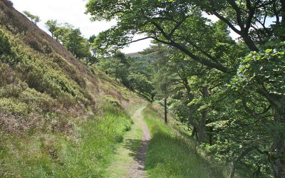 8. Errwood > Shining Tor