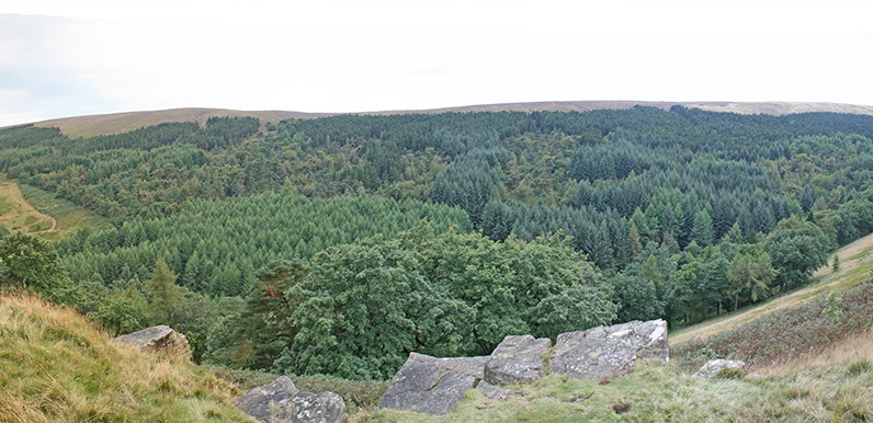 Walk 17: Foxlow Edge