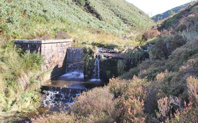 Tracing the mill lade