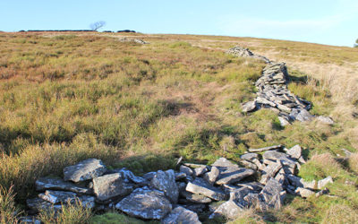 Deciphering the stone clues