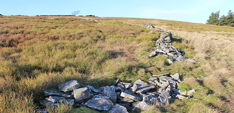 Deciphering the stone clues