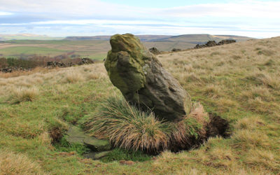 Foxlow Edge burial site?