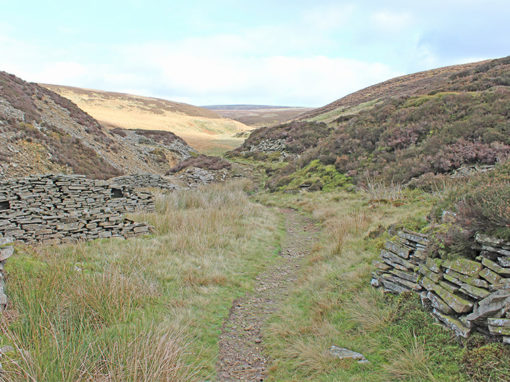 19. Axe Edge Moor