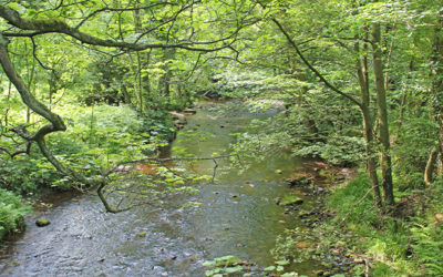 Whaley Bridge to Taxal