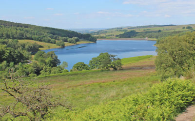 13. Errwood Reservoir Circular