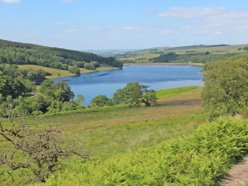 13. Errwood Reservoir Circular