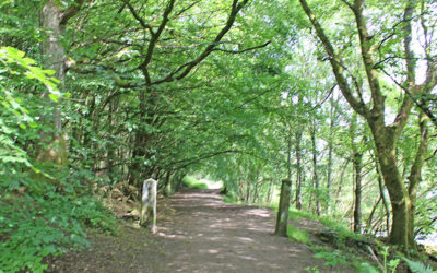14. Fernilee Reservoir Circular
