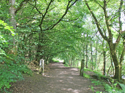 14. Fernilee Reservoir Circular