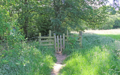 5. Whaley Bridge to Taxal