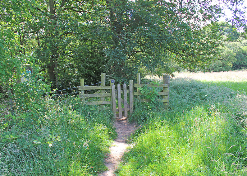 5: Whaley Bridge to Taxal