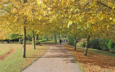 21. Buxton > Goyt Valley