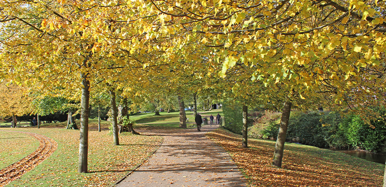 New Buxton to Goyt walk