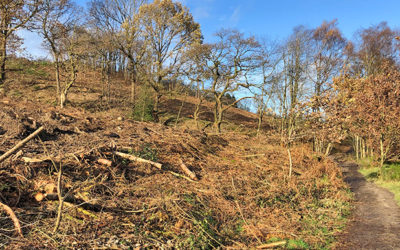 Fernilee footpath reopened