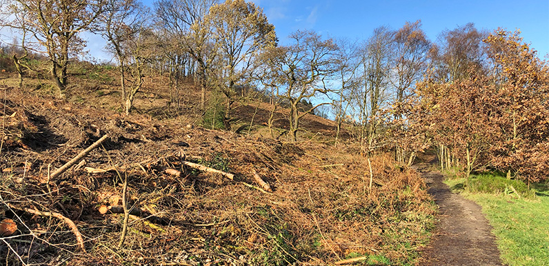 Fernilee footpath reopened