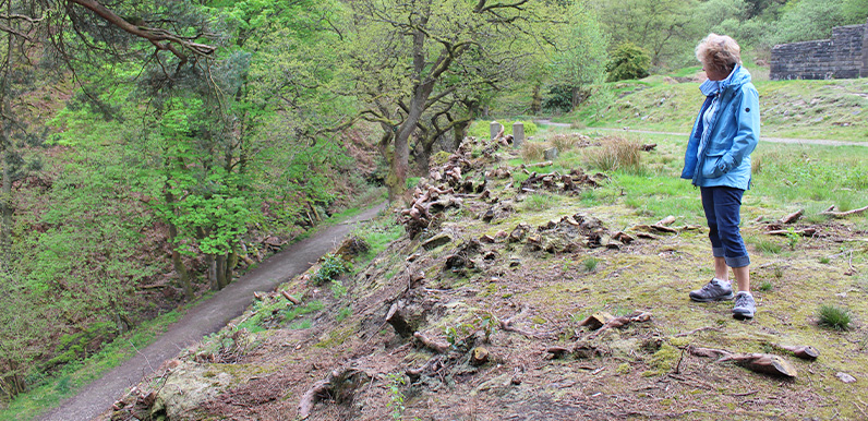 Protect the rhododendrons