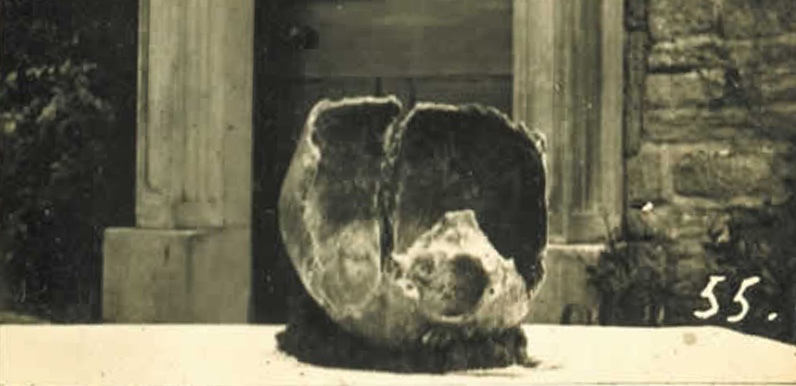 Tunstead Dickie’s skull