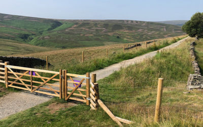 Fencing the valley