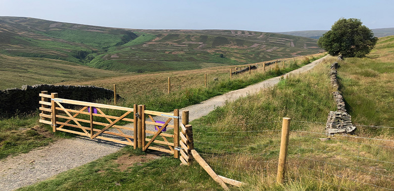 Fencing the valley