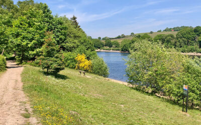 Walk 28: two reservoirs circuit