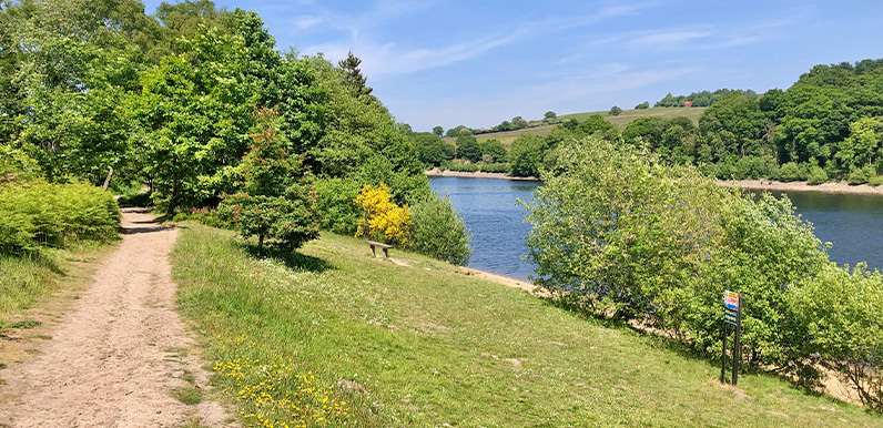 Walk 28: two reservoirs circuit