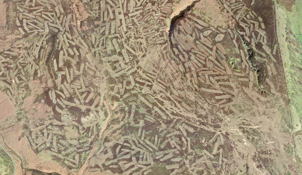 grouse-strips