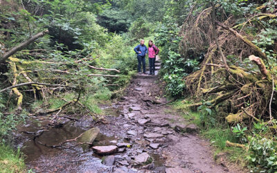 The vanished footbridge