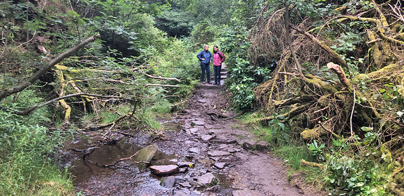 The vanished footbridge