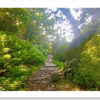 Behind the Hall - Image 2