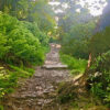 Behind the Hall - Image 3