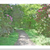 A colourful approach - Image 2