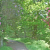 A colourful approach - Image 3