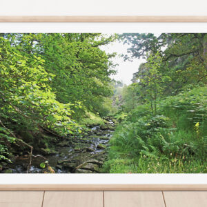 Beside the Goyt