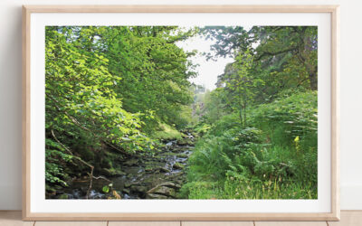 Beside the Goyt
