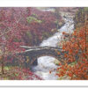 Packhorse Bridge in Autumn - Image 2