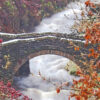 Packhorse Bridge in Autumn - Image 3