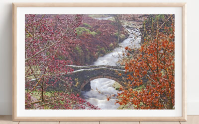 Packhorse Bridge in Autumn