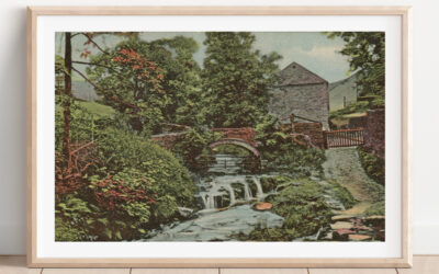 The packhorse bridge